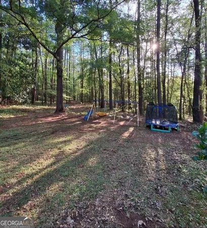 a view of a garden with a bench