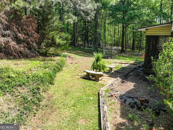a view of a backyard with potted plants