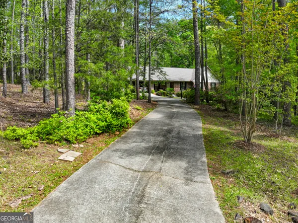 a view of a street with potted plants and large trees