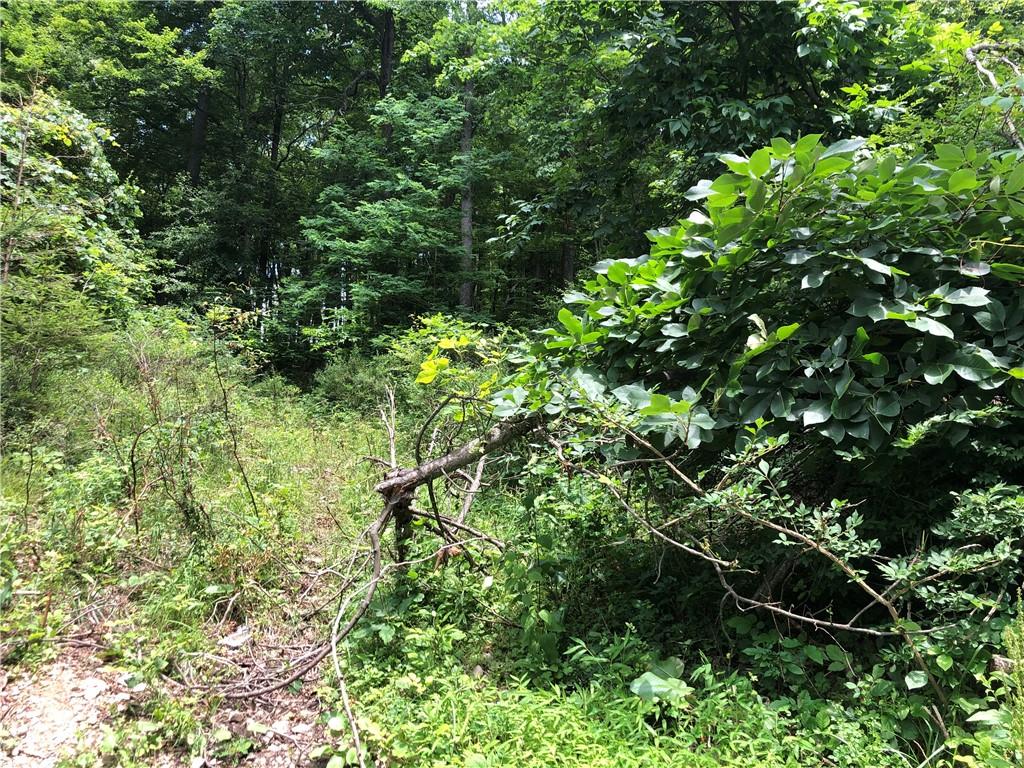 224-225 Old Mill Road Chalk Hill, PA 15470 - Photo 5 of 31