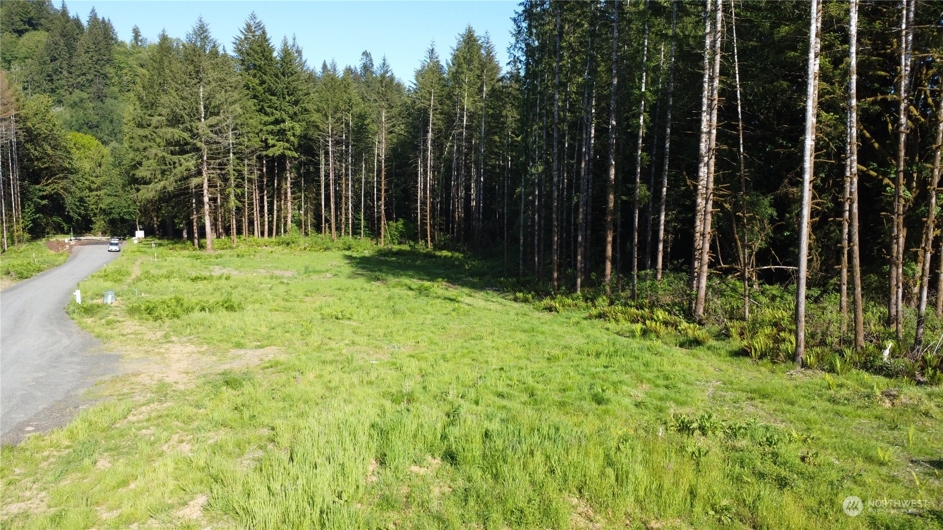 0 Carlon Loop Road, Unit 4 Longview, WA 98632 - Photo 16 of 22 a view of backyard with green space