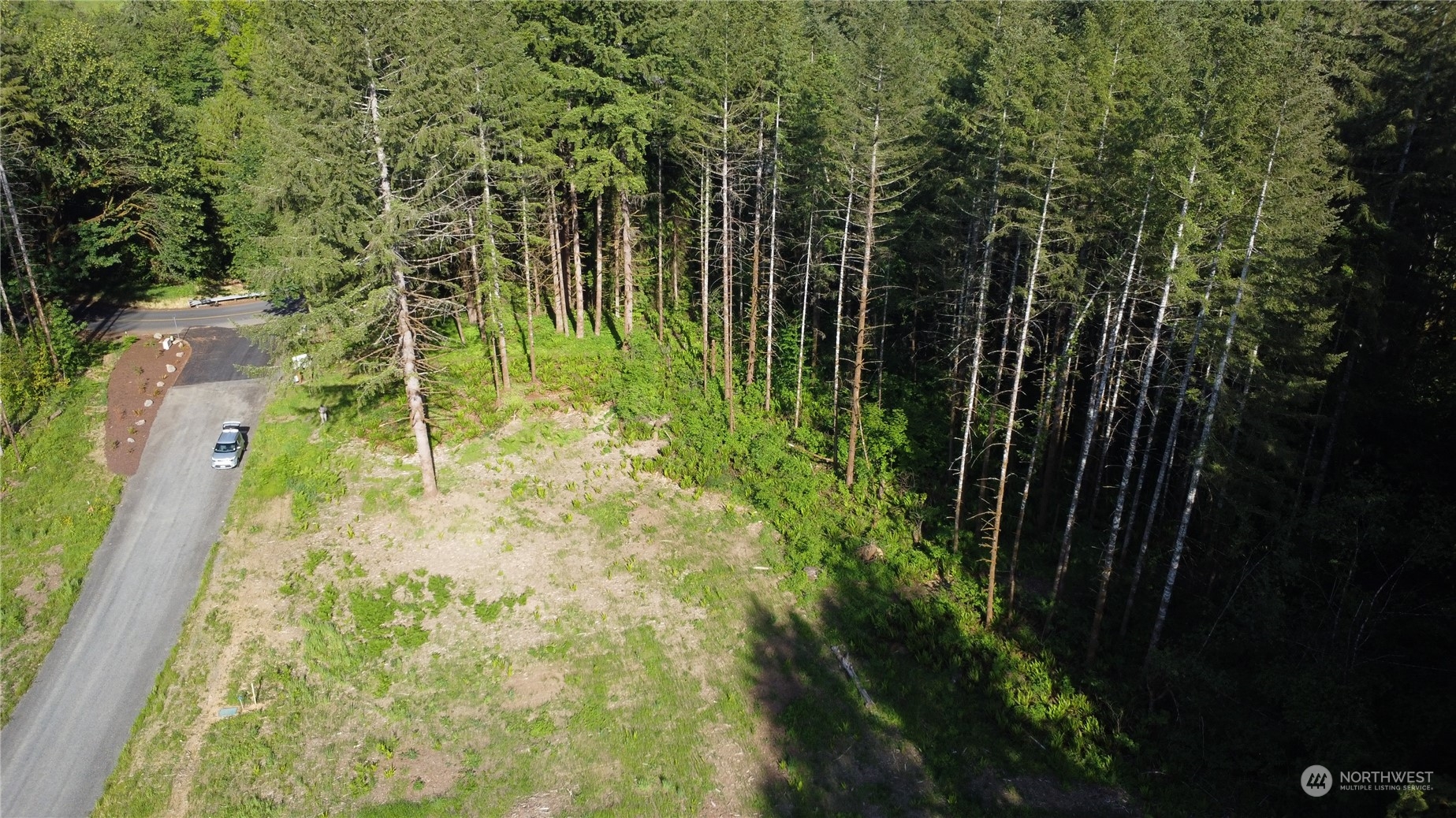 0 Carlon Loop Road, Unit 4 Longview, WA 98632 - Photo 17 of 22 a view of yard