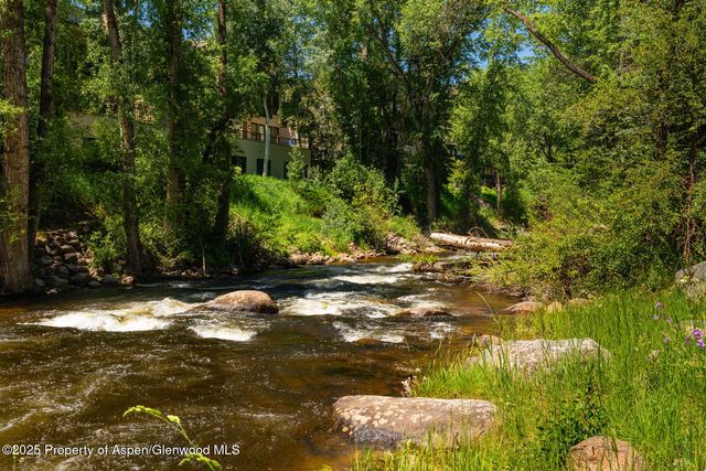 a view of a yard with plants