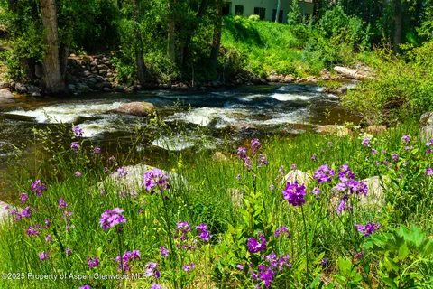 a view of a flower in a garden