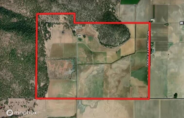 1827 West Ball Mountain Little Shasta Road Macdoel, CA 96058 - Photo 124 of 129 aerial