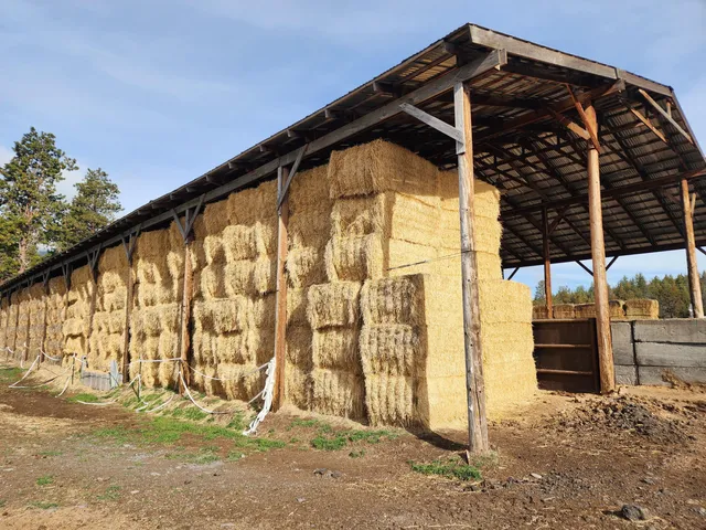 $8,500,000 | 1827 West Ball Mountain Little Shasta Road, Macdoel, CA 96058