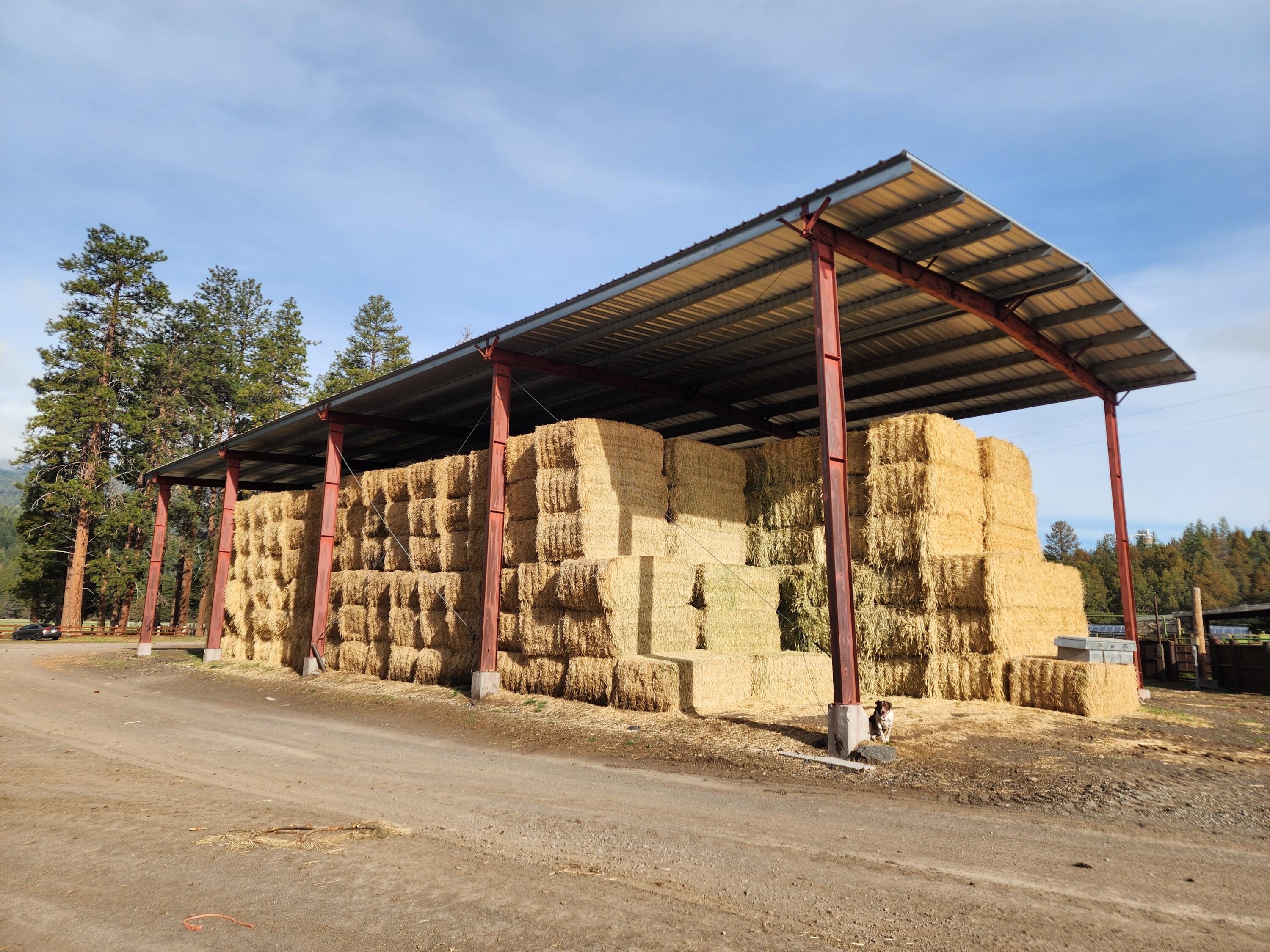 1827 West Ball Mountain Little Shasta Road Macdoel, CA 96058 - Photo 126 of 129 20250411_090916