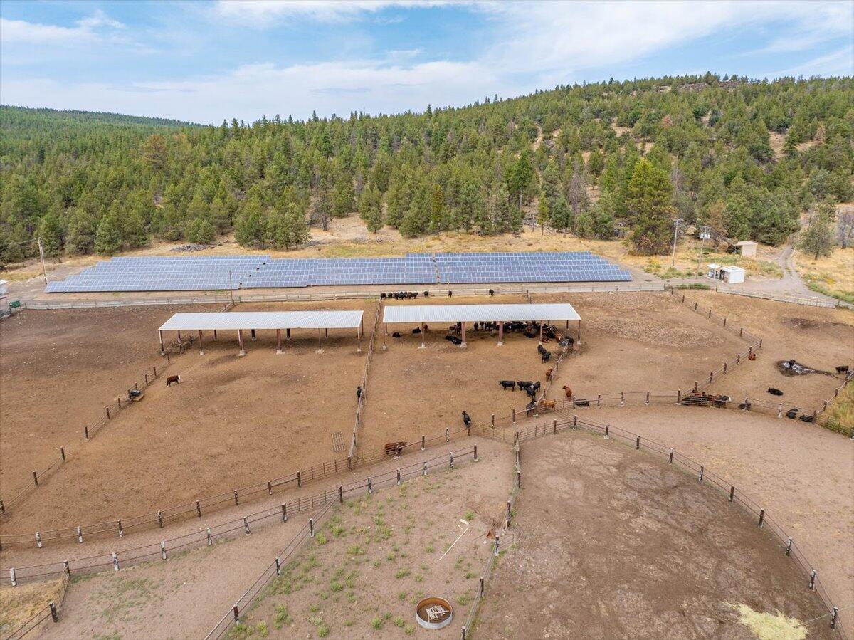 1827 West Ball Mountain Little Shasta Road Macdoel, CA 96058 - Photo 14 of 129 a view of a dry yard with trees