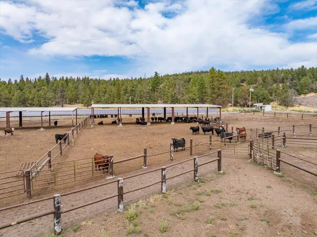 $8,500,000 | 1827 West Ball Mountain Little Shasta Road, Macdoel, CA 96058