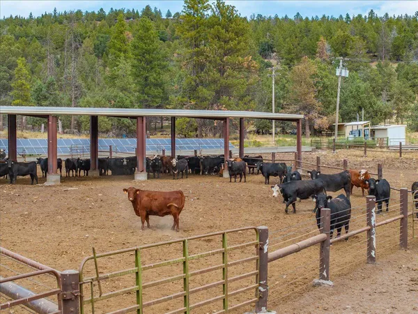 $8,500,000 | 1827 West Ball Mountain Little Shasta Road, Macdoel, CA 96058