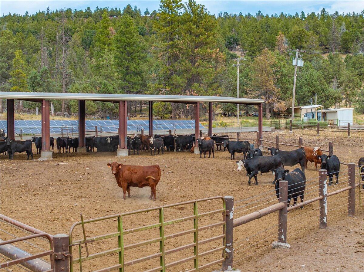 1827 West Ball Mountain Little Shasta Road Macdoel, CA 96058 - Photo 16 of 129 041-Prather Ranch - E-41