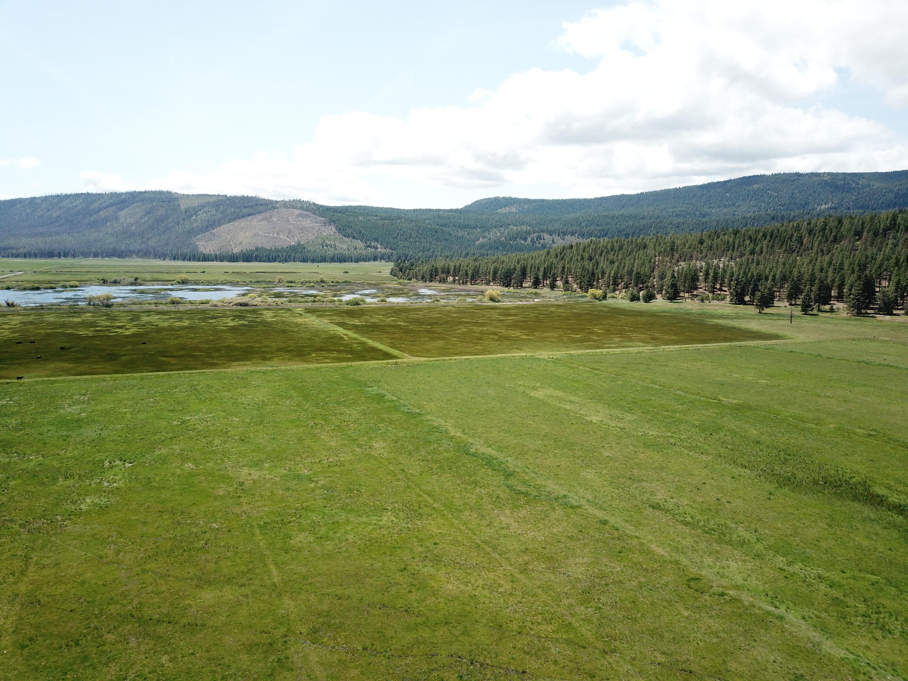 1827 West Ball Mountain Little Shasta Road Macdoel, CA 96058 - Photo 19 of 129 DJI_0193