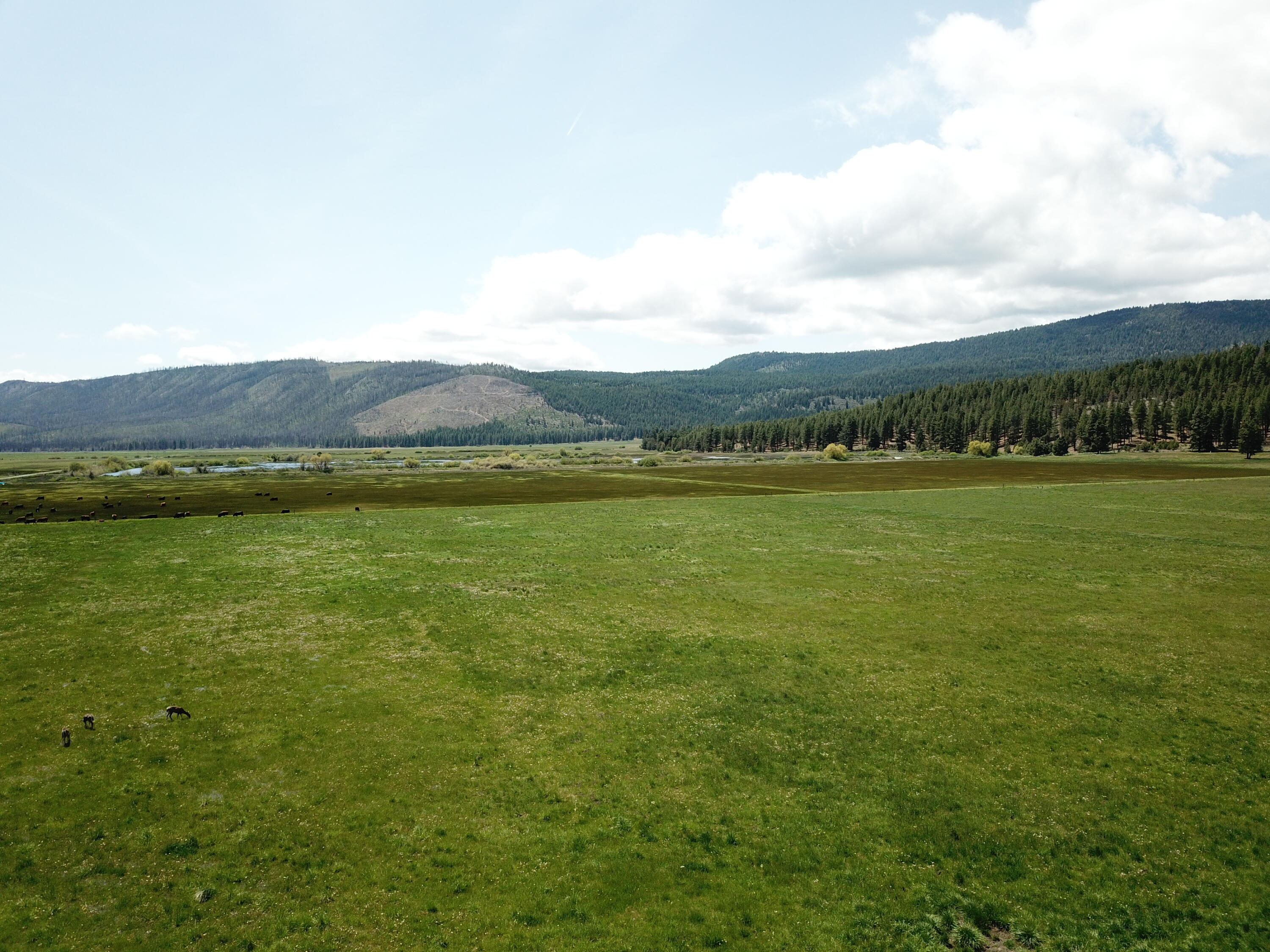 1827 West Ball Mountain Little Shasta Road Macdoel, CA 96058 - Photo 23 of 129 DJI_0204