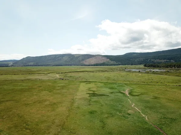 $8,500,000 | 1827 West Ball Mountain Little Shasta Road, Macdoel, CA 96058