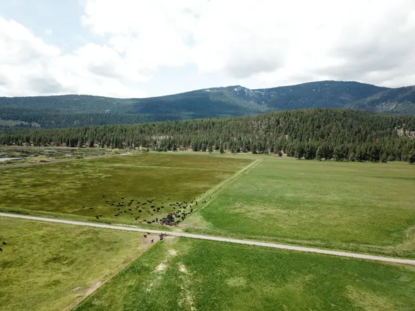 $8,500,000 | 1827 West Ball Mountain Little Shasta Road, Macdoel, CA 96058