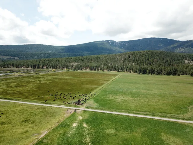 $8,500,000 | 1827 West Ball Mountain Little Shasta Road, Macdoel, CA 96058