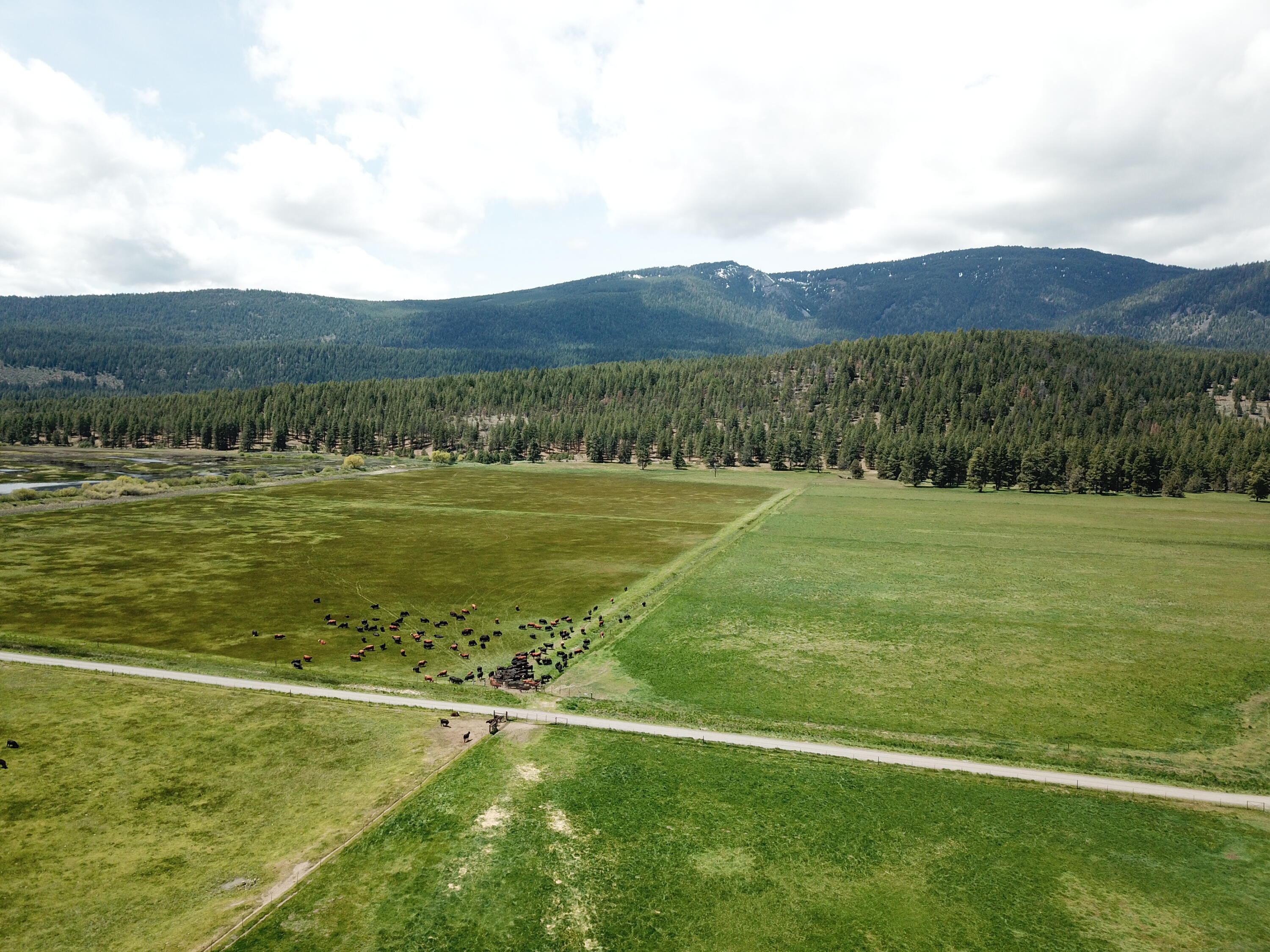 1827 West Ball Mountain Little Shasta Road Macdoel, CA 96058 - Photo 26 of 129 DJI_0258