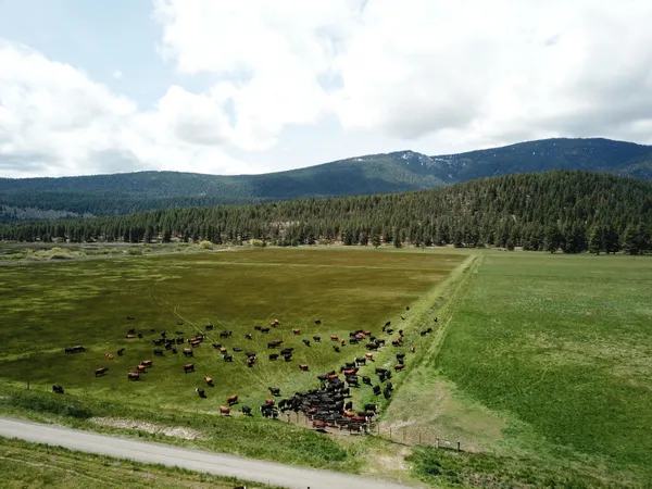 $8,500,000 | 1827 West Ball Mountain Little Shasta Road, Macdoel, CA 96058