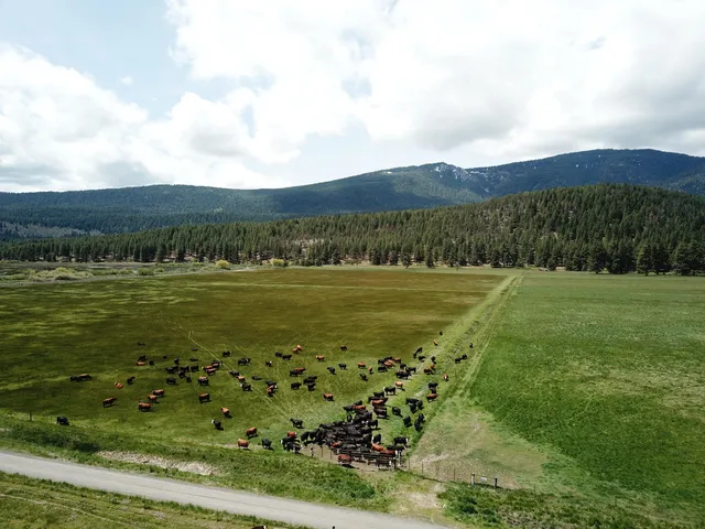 $8,500,000 | 1827 West Ball Mountain Little Shasta Road, Macdoel, CA 96058