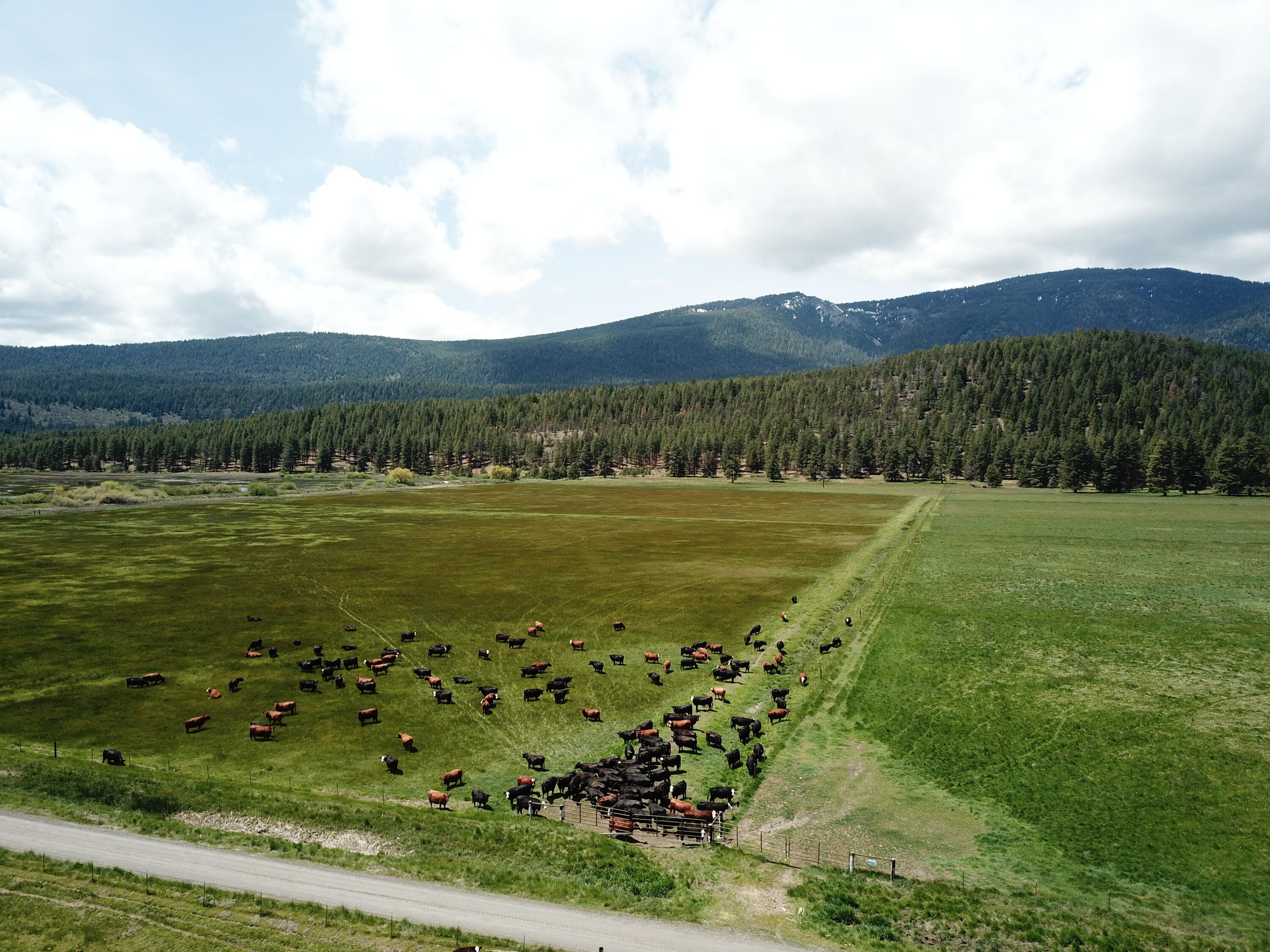 1827 West Ball Mountain Little Shasta Road Macdoel, CA 96058 - Photo 27 of 129 DJI_0262