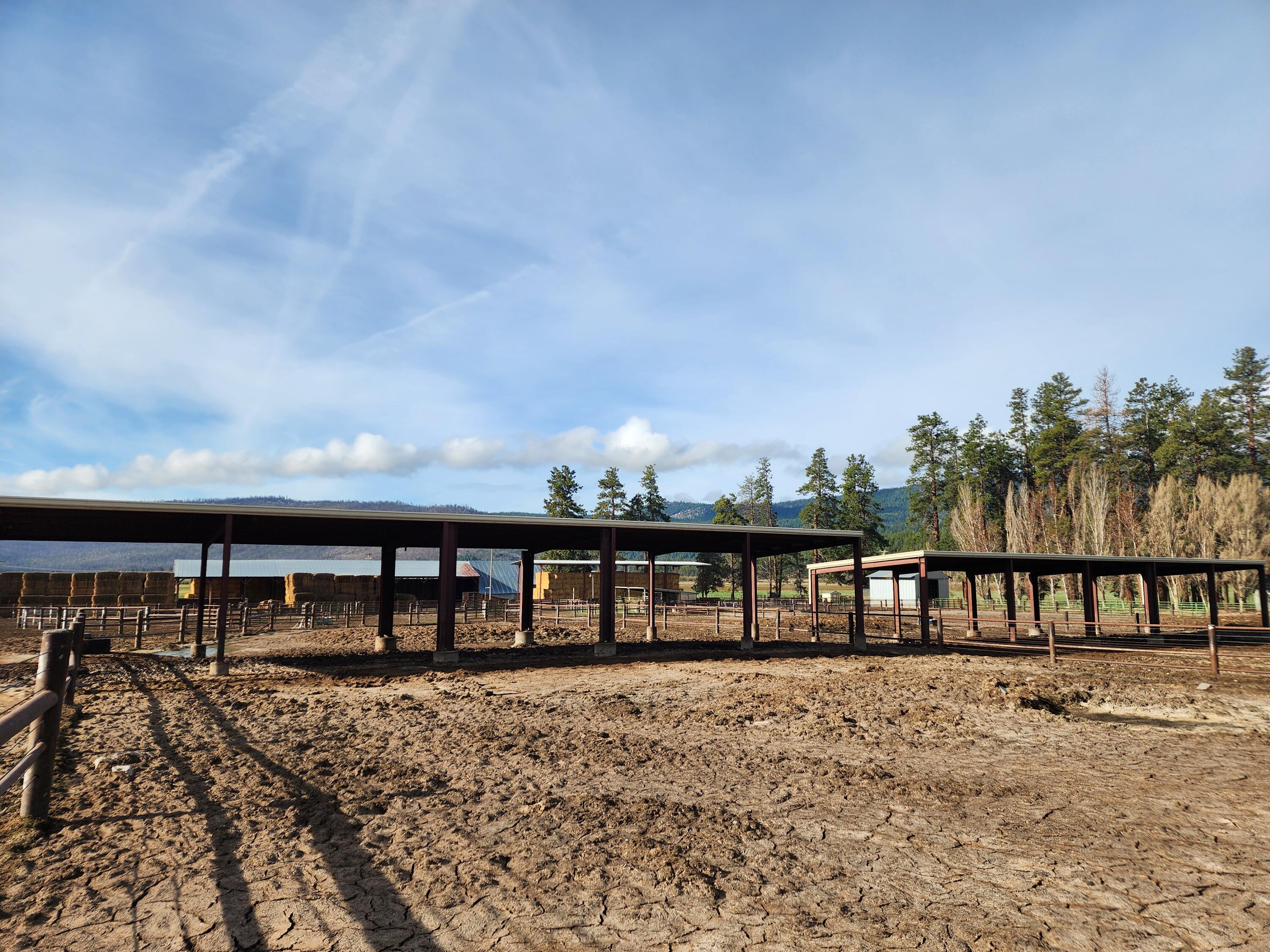 1827 West Ball Mountain Little Shasta Road Macdoel, CA 96058 - Photo 38 of 129 20250411_085303