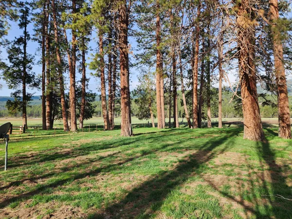 $8,500,000 | 1827 West Ball Mountain Little Shasta Road, Macdoel, CA 96058