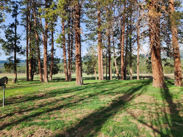 $8,500,000 | 1827 West Ball Mountain Little Shasta Road, Macdoel, CA 96058