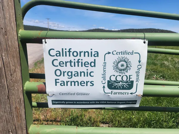 $8,500,000 | 1827 West Ball Mountain Little Shasta Road, Macdoel, CA 96058