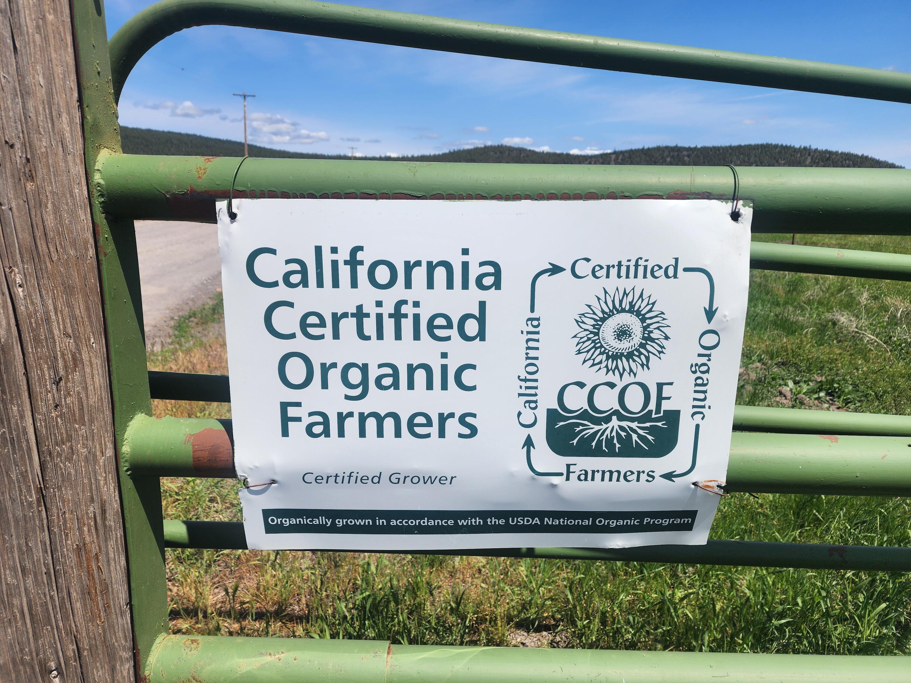 1827 West Ball Mountain Little Shasta Road Macdoel, CA 96058 - Photo 43 of 129 20250516_115624