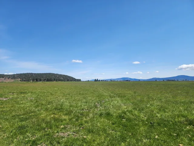 $8,500,000 | 1827 West Ball Mountain Little Shasta Road, Macdoel, CA 96058