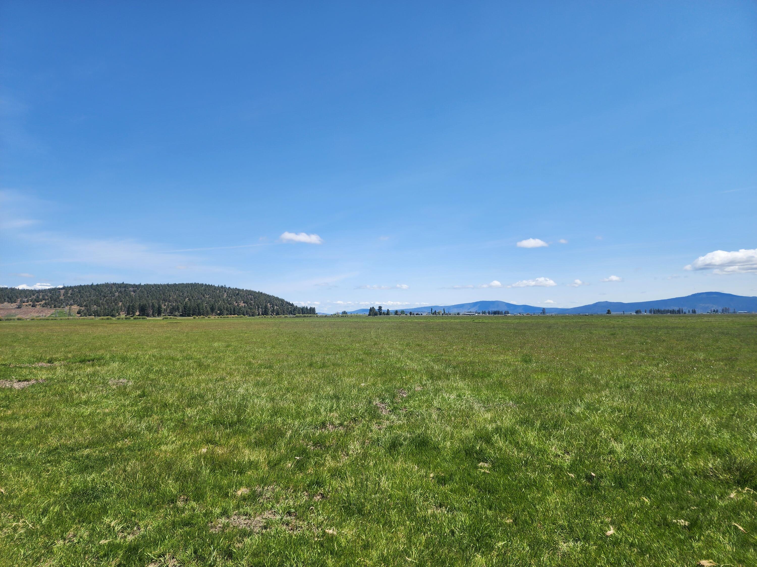 1827 West Ball Mountain Little Shasta Road Macdoel, CA 96058 - Photo 44 of 129 20250516_115641