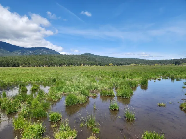 $8,500,000 | 1827 West Ball Mountain Little Shasta Road, Macdoel, CA 96058