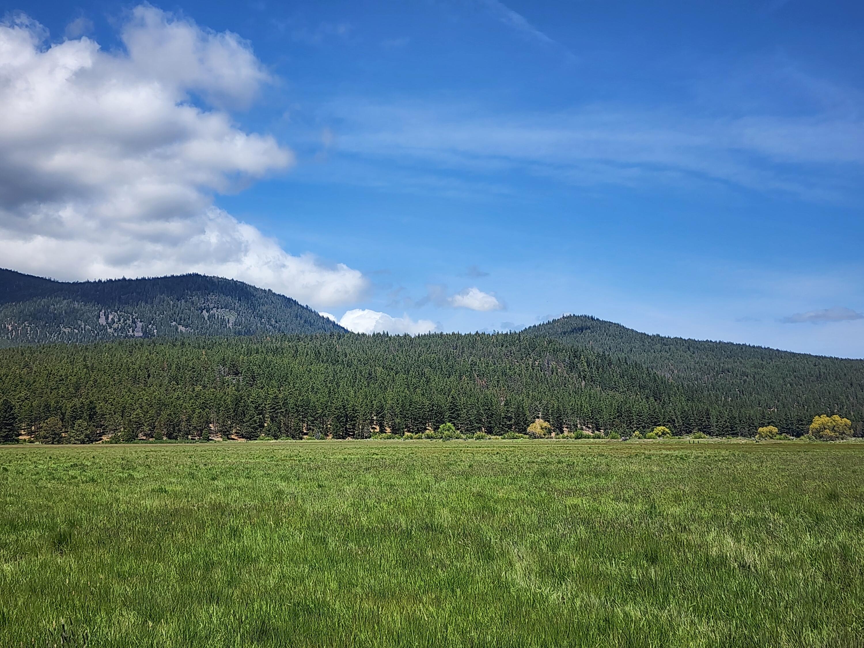 1827 West Ball Mountain Little Shasta Road Macdoel, CA 96058 - Photo 46 of 129 20250516_115800