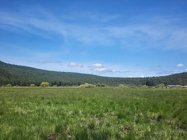 $8,500,000 | 1827 West Ball Mountain Little Shasta Road, Macdoel, CA 96058