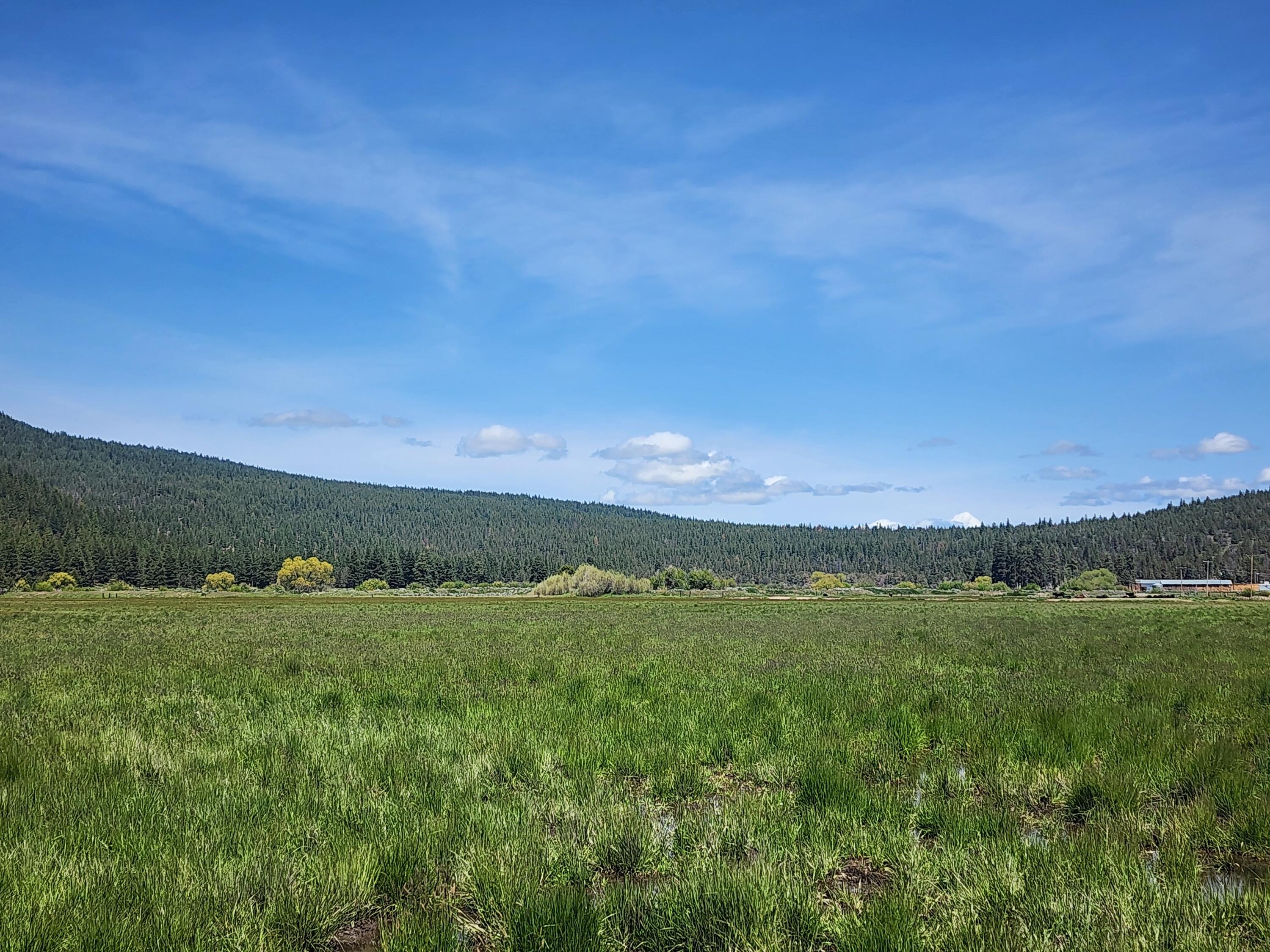 1827 West Ball Mountain Little Shasta Road Macdoel, CA 96058 - Photo 47 of 129 a view of a field with an ocean