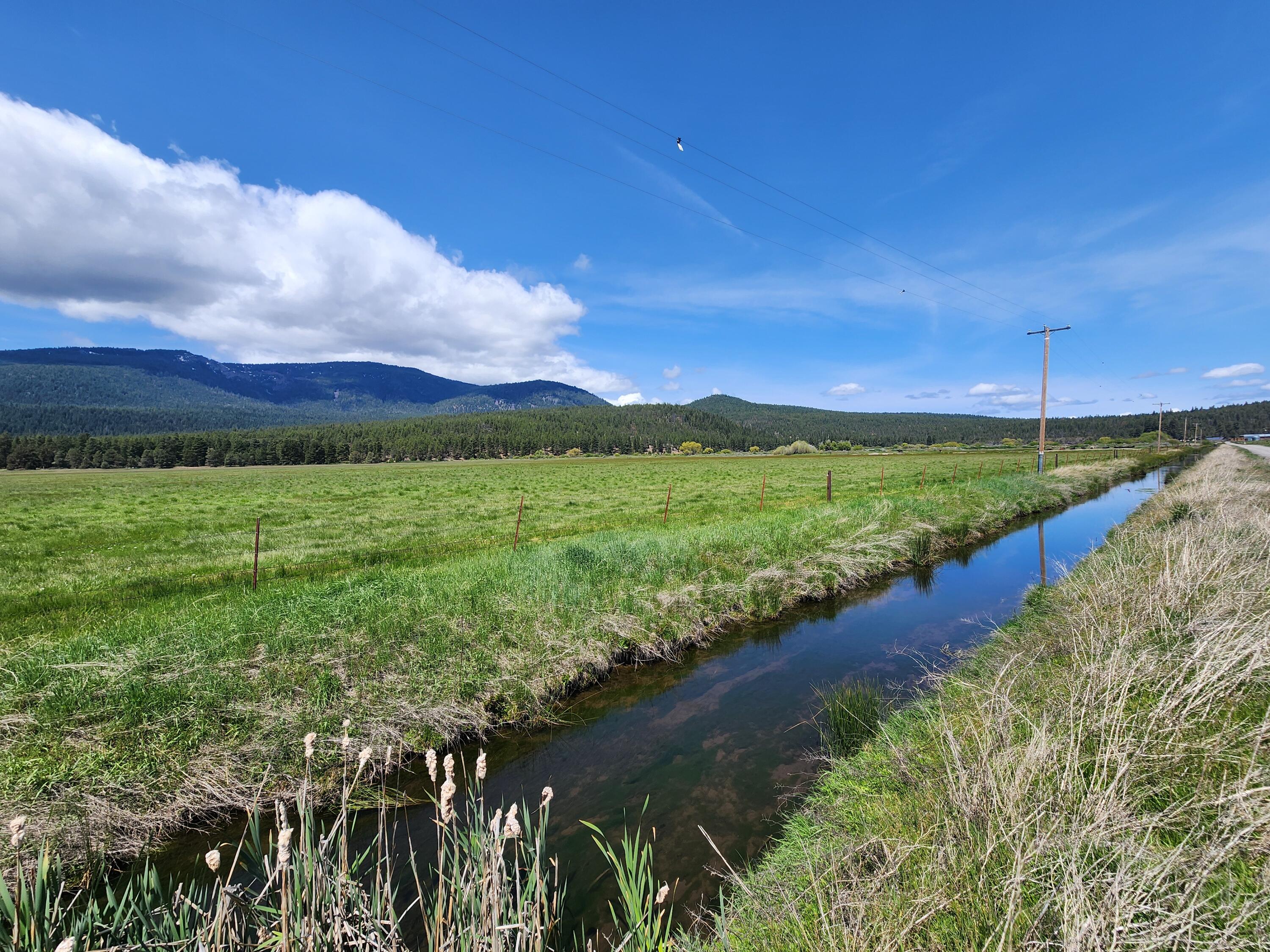 1827 West Ball Mountain Little Shasta Road Macdoel, CA 96058 - Photo 48 of 129 20250516_120004