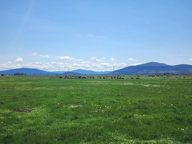 $8,500,000 | 1827 West Ball Mountain Little Shasta Road, Macdoel, CA 96058