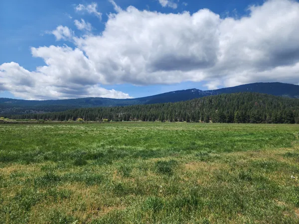 $8,500,000 | 1827 West Ball Mountain Little Shasta Road, Macdoel, CA 96058
