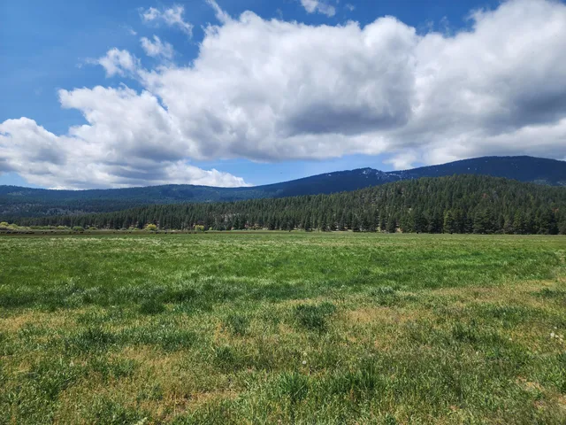 $8,500,000 | 1827 West Ball Mountain Little Shasta Road, Macdoel, CA 96058