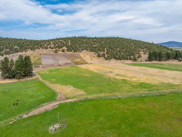 $8,500,000 | 1827 West Ball Mountain Little Shasta Road, Macdoel, CA 96058