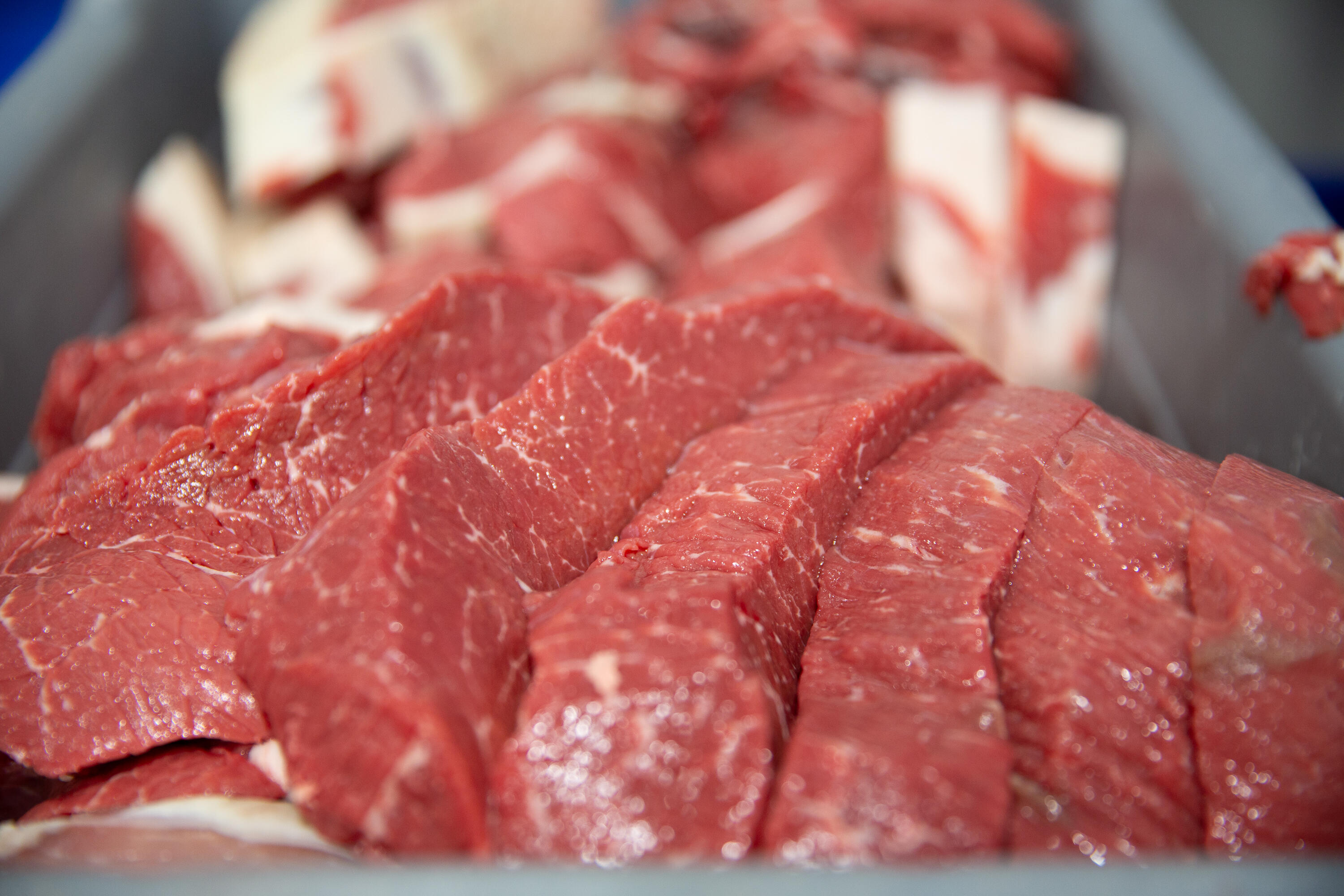 1827 West Ball Mountain Little Shasta Road Macdoel, CA 96058 - Photo 55 of 129