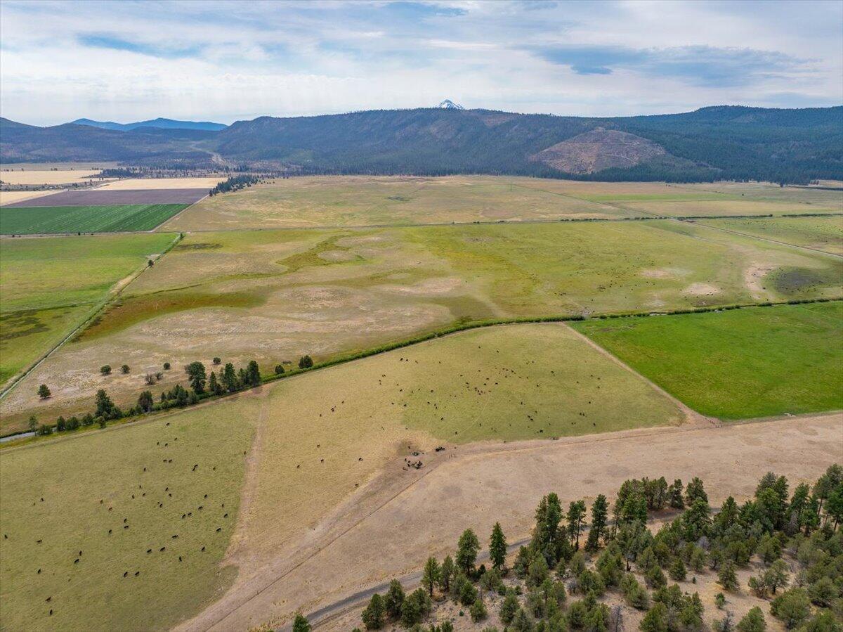 1827 West Ball Mountain Little Shasta Road Macdoel, CA 96058 - Photo 62 of 129 008-Prather Ranch - E-8