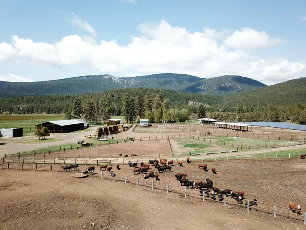 $8,500,000 | 1827 West Ball Mountain Little Shasta Road, Macdoel, CA 96058