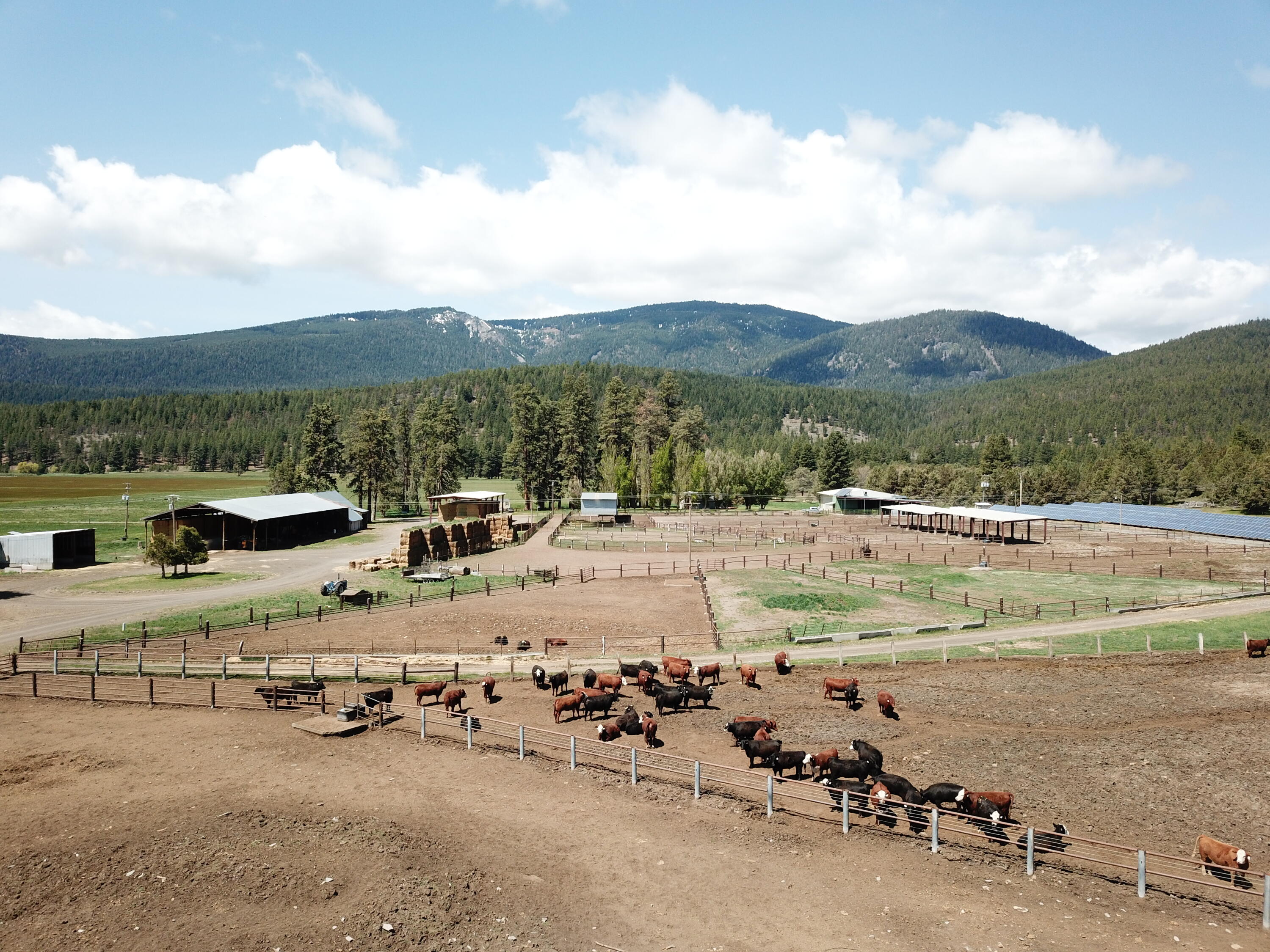 1827 West Ball Mountain Little Shasta Road Macdoel, CA 96058 - Photo 7 of 129 DJI_0148