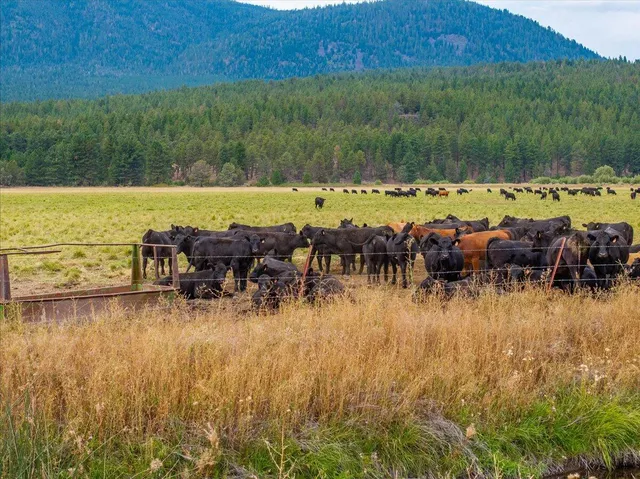 $8,500,000 | 1827 West Ball Mountain Little Shasta Road, Macdoel, CA 96058