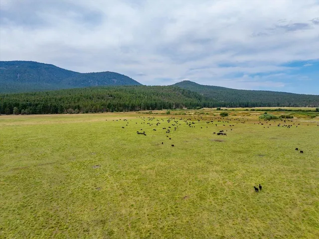 $8,500,000 | 1827 West Ball Mountain Little Shasta Road, Macdoel, CA 96058