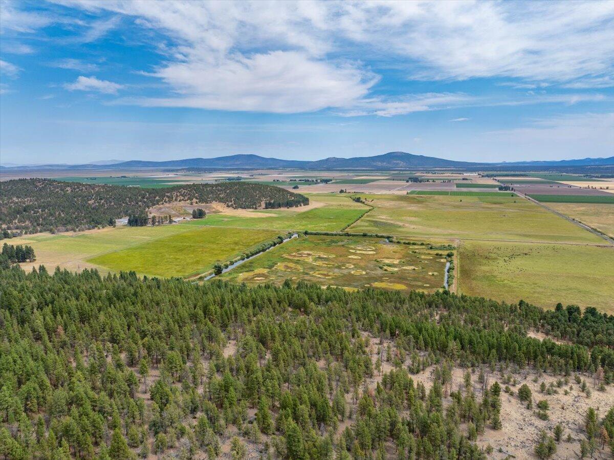 1827 West Ball Mountain Little Shasta Road Macdoel, CA 96058 - Photo 75 of 129 025-Prather Ranch - E-25