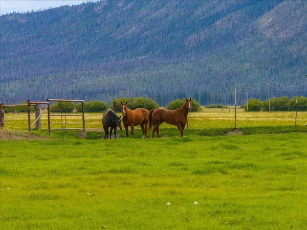 $8,500,000 | 1827 West Ball Mountain Little Shasta Road, Macdoel, CA 96058