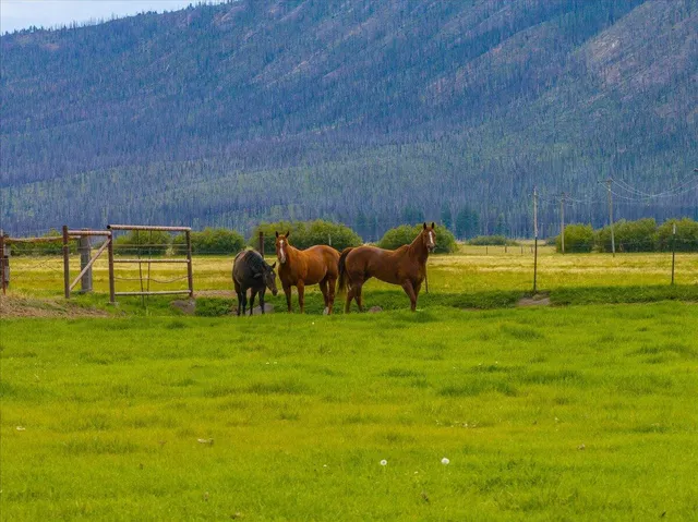 $8,500,000 | 1827 West Ball Mountain Little Shasta Road, Macdoel, CA 96058