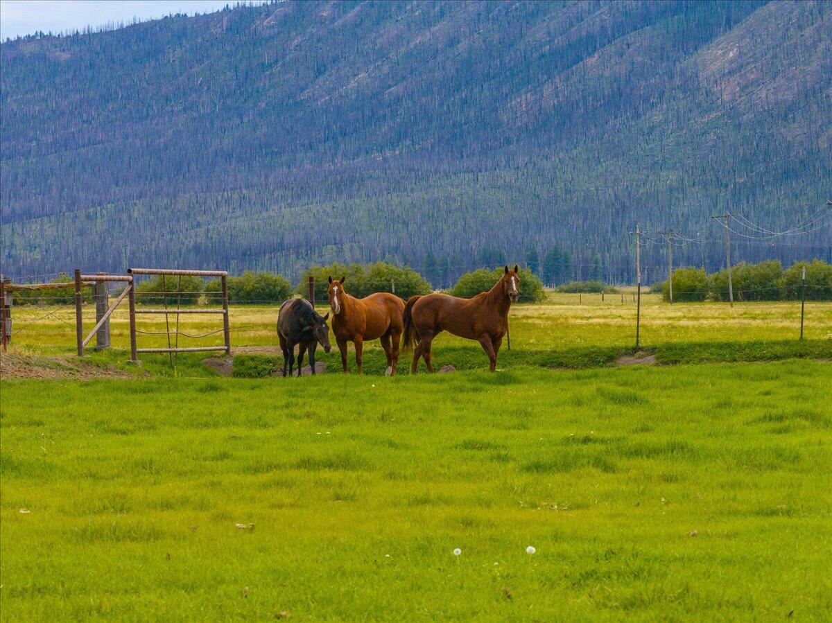 1827 West Ball Mountain Little Shasta Road Macdoel, CA 96058 - Photo 83 of 129 045-Prather Ranch - E-45